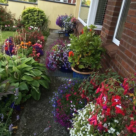 Bed & Breakfast Chelmsford House Lakes Of Killarney